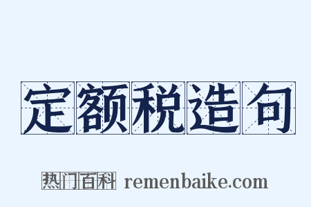 定额税造句是什么意思的图片
